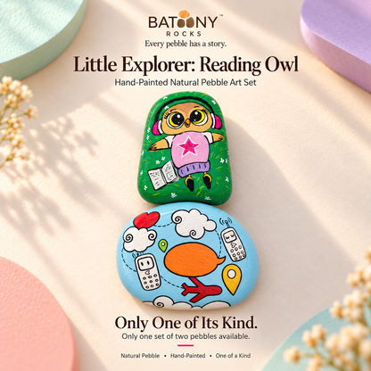 Little Explorer: Reading Owl: hand-painted pebble art displayed as a complete product